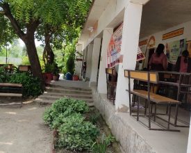 WhatsApp Image 2025-09-10 at 12.31.02 PM