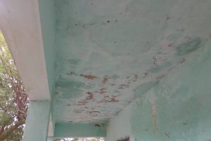 alambadi-before-2