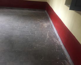 nagavalli-complete-04